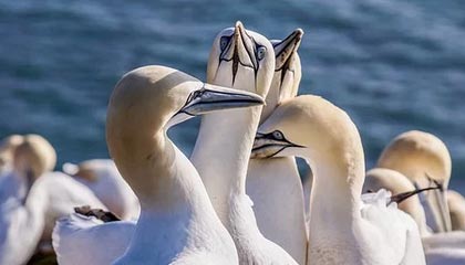 开奖结果-乐鱼体育app：让热血与数据同频的体育新体验